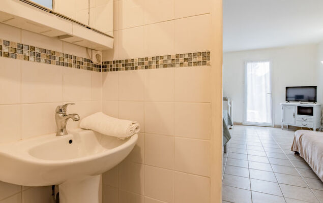 Le petit Verdillon - Photo 13