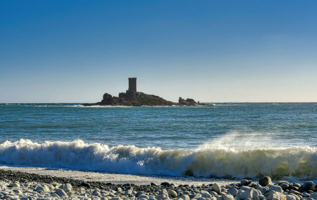 Les Coraux - Photo 27