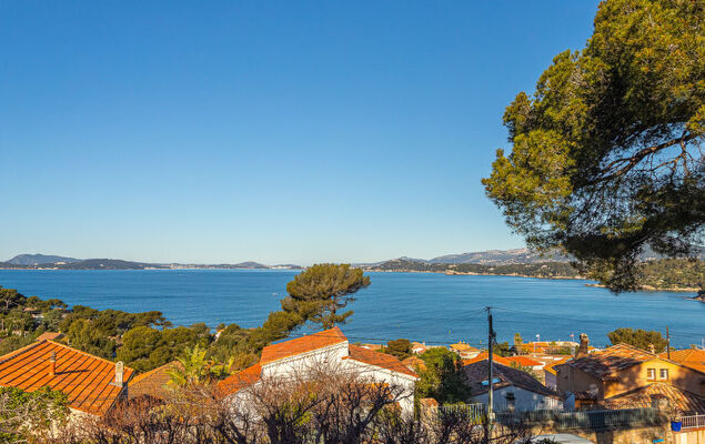 Le Provençal - Photo 1