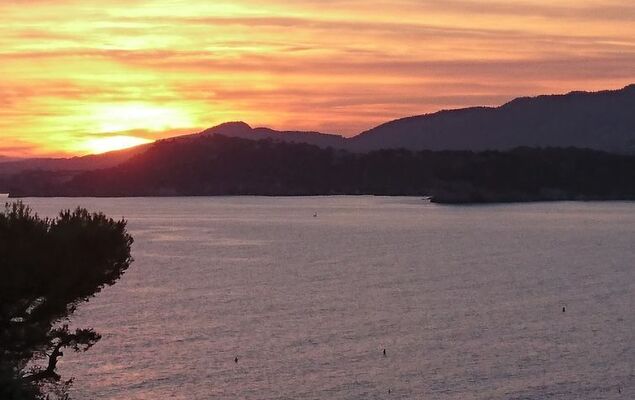 Le Provençal - Photo 5