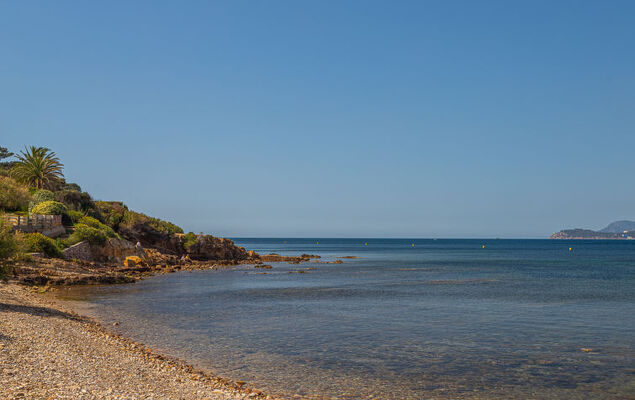 Le Provençal - Photo 48