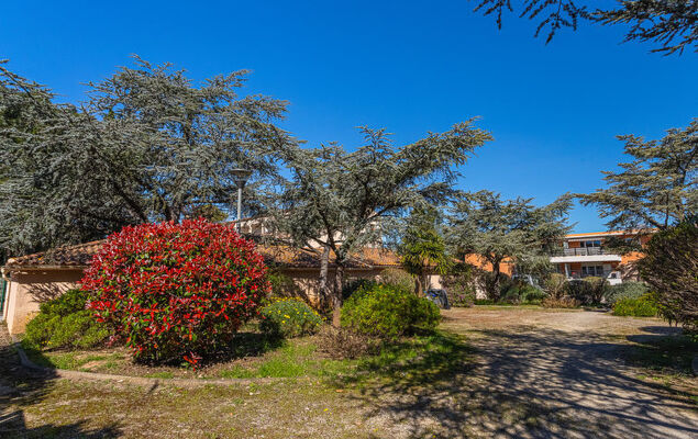 Les Lavandes - Photo 21