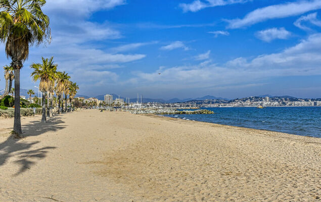Le Méditerranée - Photo 25