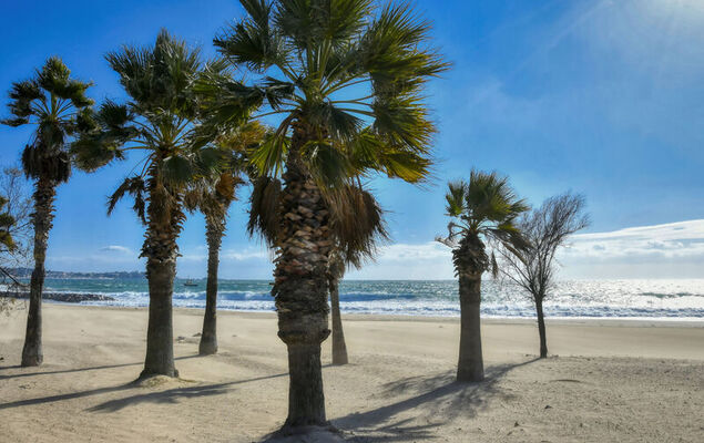 Le Méditerranée - Photo 28