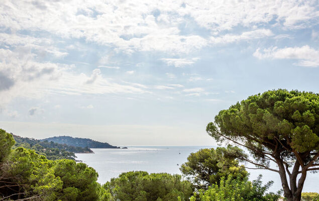 Villa du Canadel - Photo 27