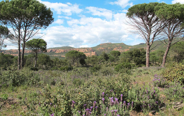 L'auberg'Inn - Photo 53